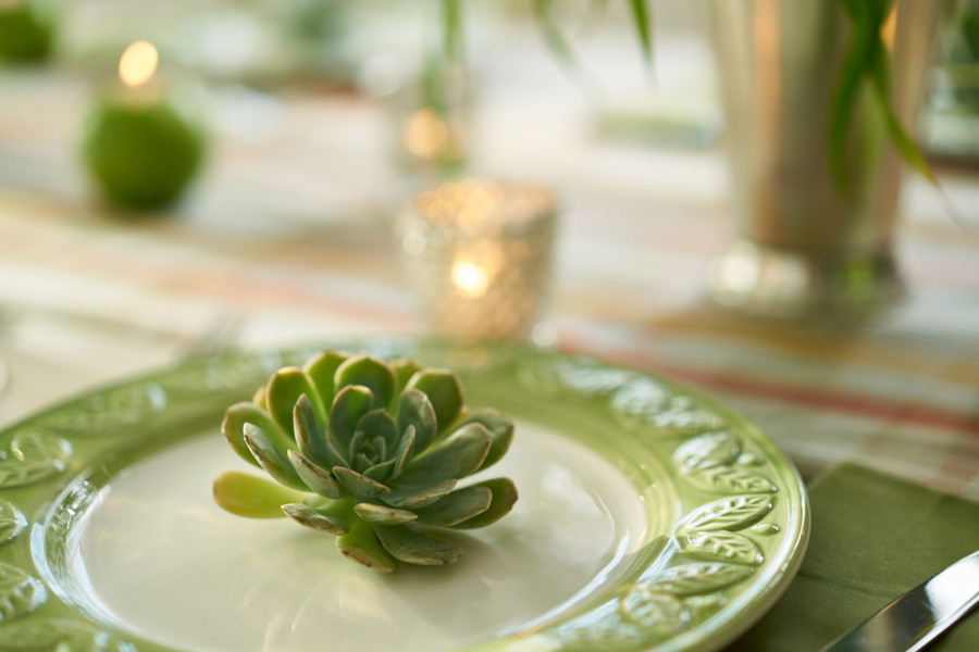 Ideas de centro de mesa de acción de gracias con decoración de plato suculento