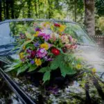 Picture of transport flowers