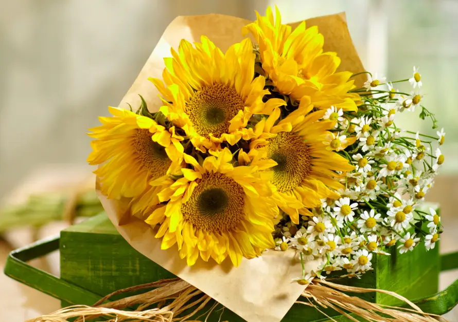 zodiac flowers with sunflowers