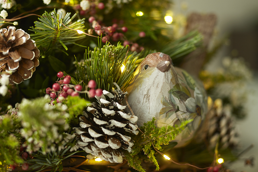 Bird in tree