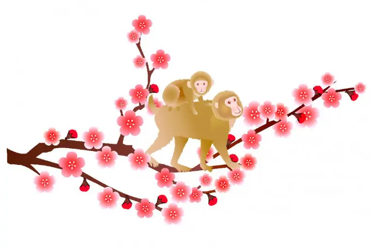 Chinese New Year 2016: The Year Of The Monkey