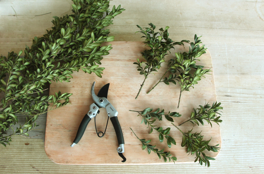 pre-cutting-greens