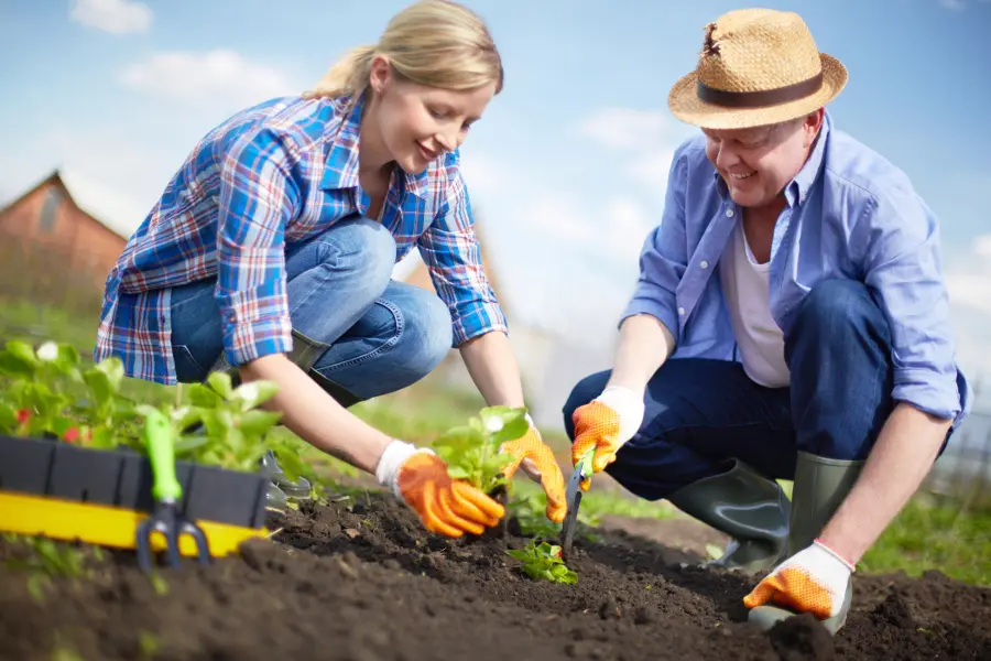 couple-gardening-in-backyard