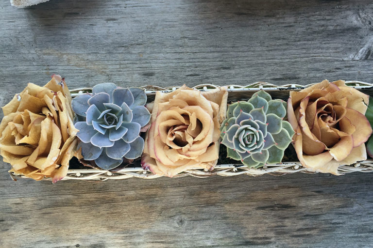 How Long Do Waxed Roses Last FollowUp 1800Flowers Petal Talk