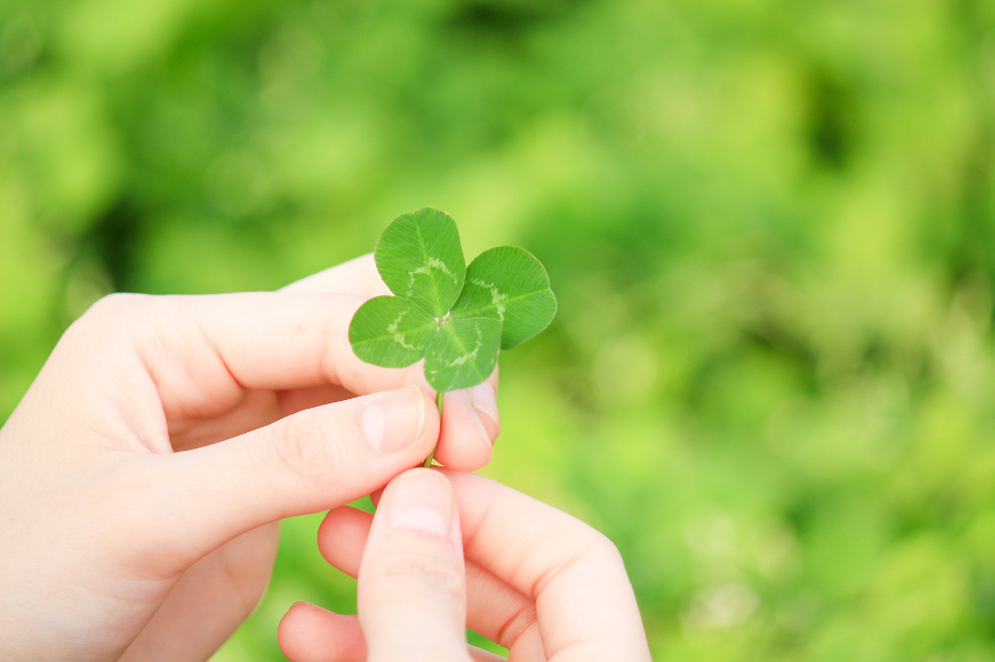 Person holding a four leaf clover