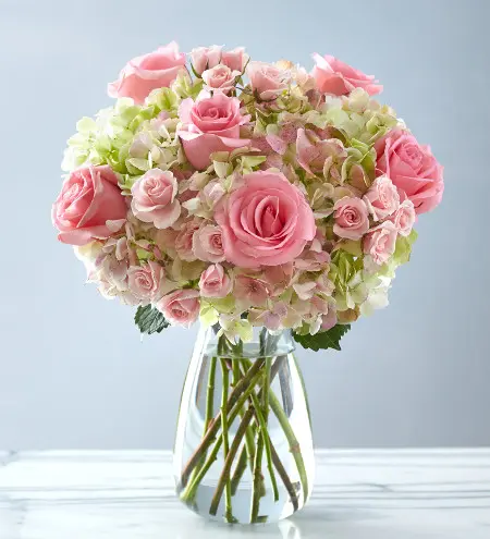 Pink roses and hydrangea in a clear vase