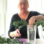 a photo of Julie Mulligan arranging roses