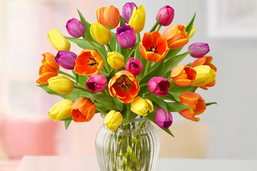 flowers for kids with assorted tulips