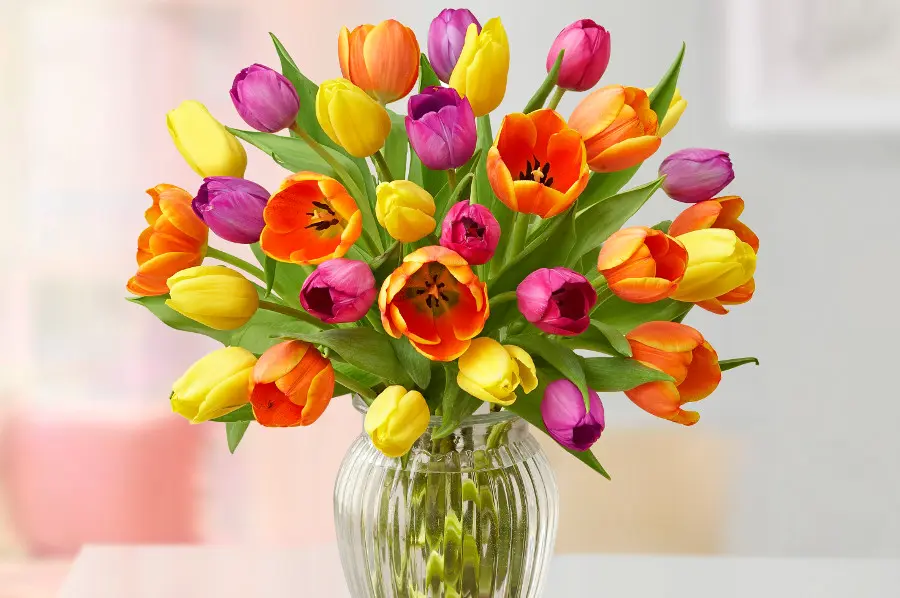flowers for kids with assorted tulips
