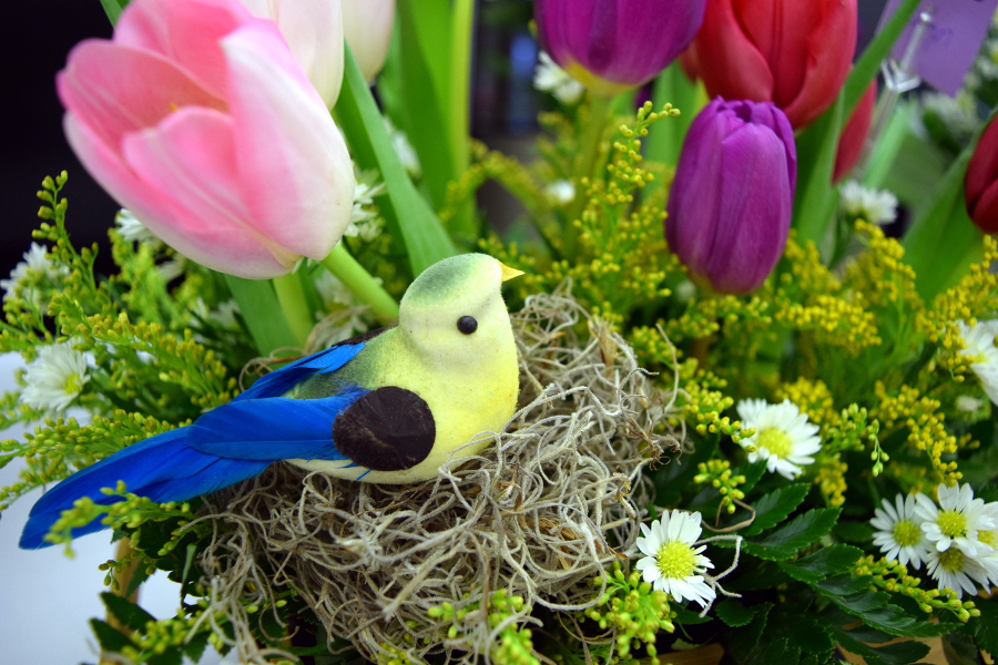 Bird in a tulip arrangement