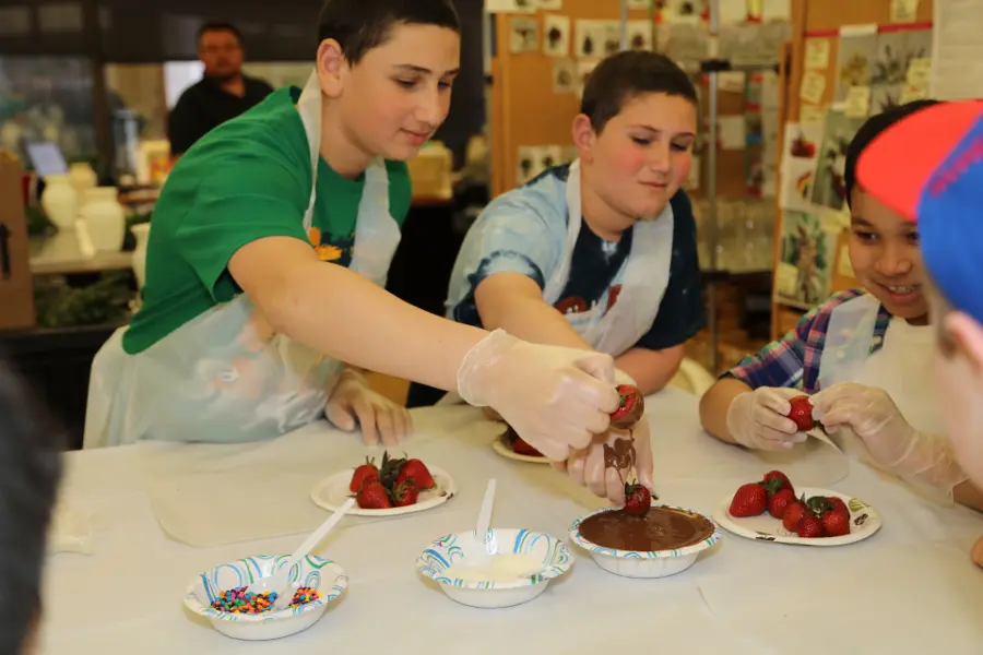 chocolate-dipped-strawberries-1