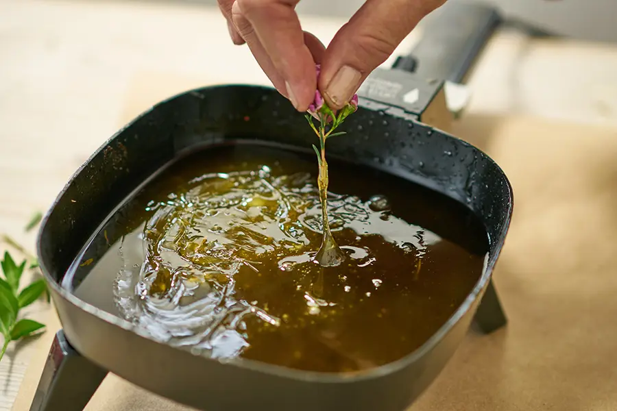 Dipping flower into wax