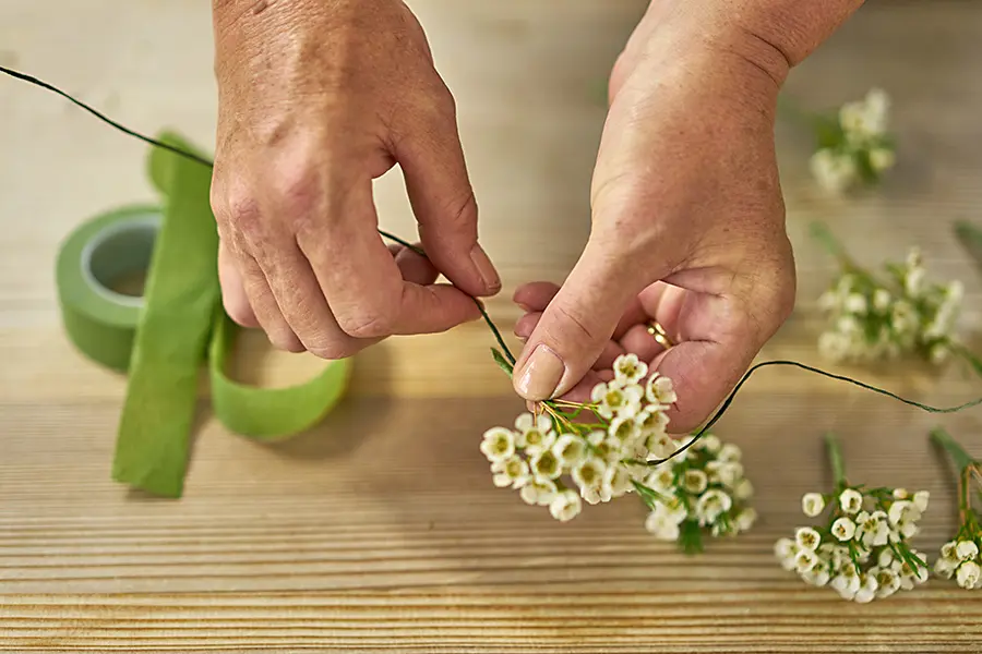 Measure Flower Stems