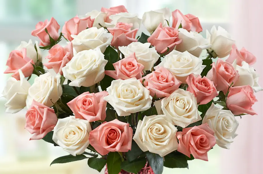Mother's Day flower types with White & Pink Roses