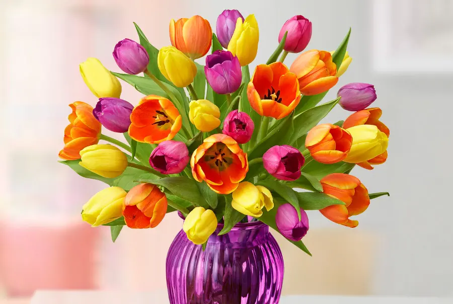 Mother's Day flower types with Multicolored Tulips