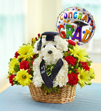 best-in-class-graduation-a-dog-able