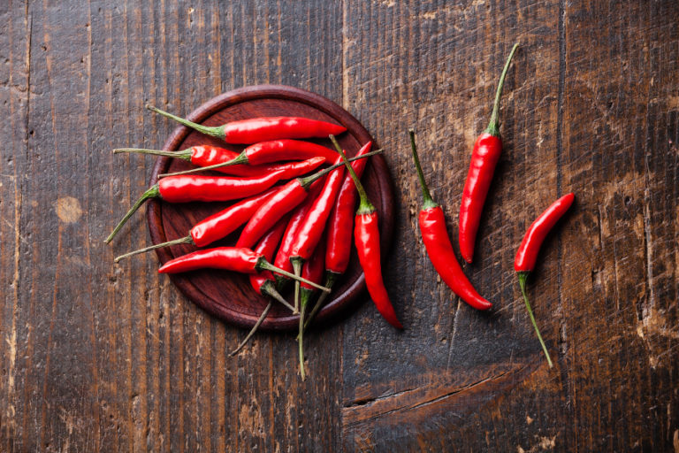 How to Keep Animals Out of Your Garden | Petal Talk