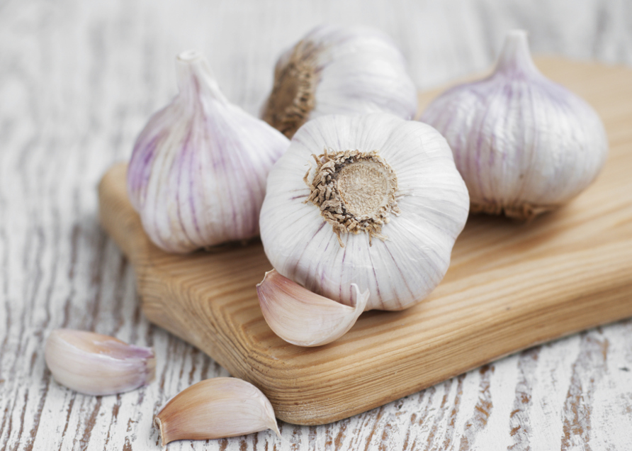 garlic-natural-animal-repellent