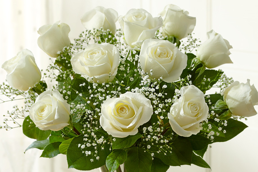 Flower Color Meaning Significance of Flower Colors Petal Talk
