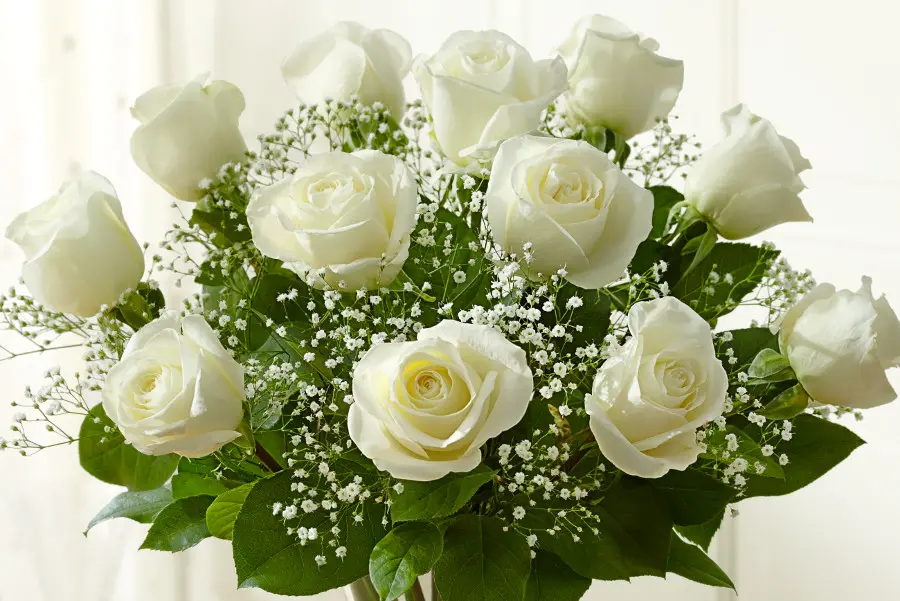 flowers in movies with Dozen White Roses