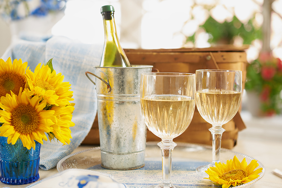 Lightweight Plastic Wine Goblets