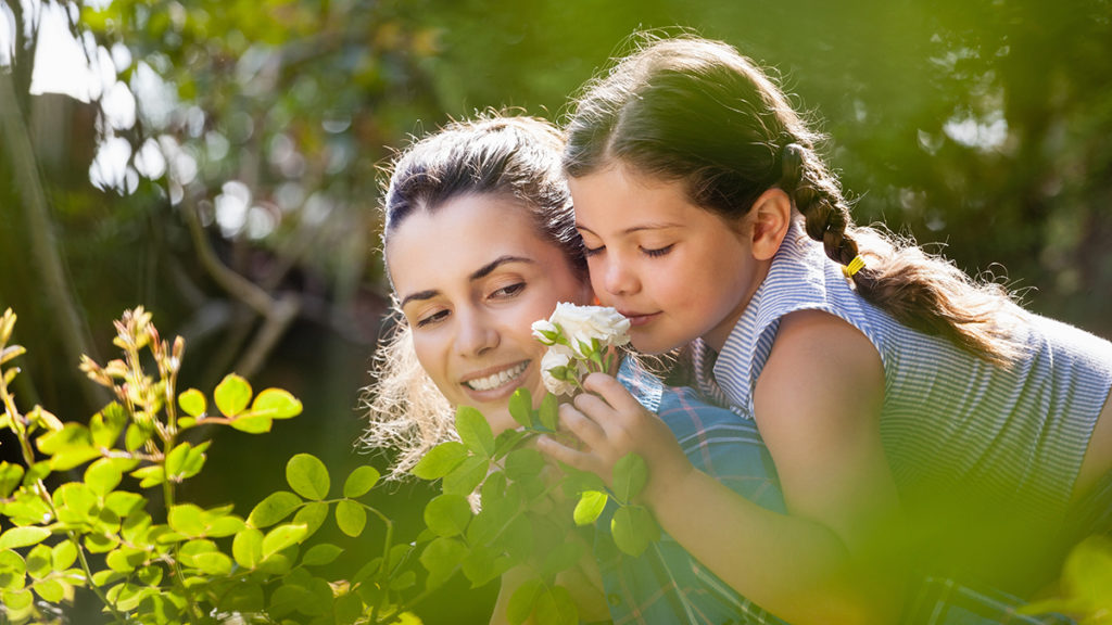 A photo of best smelling flowers with a girl smelling a white rose