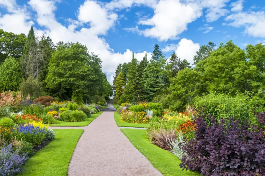 Wellington Botanical Garden