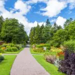 Wellington Botanical Garden