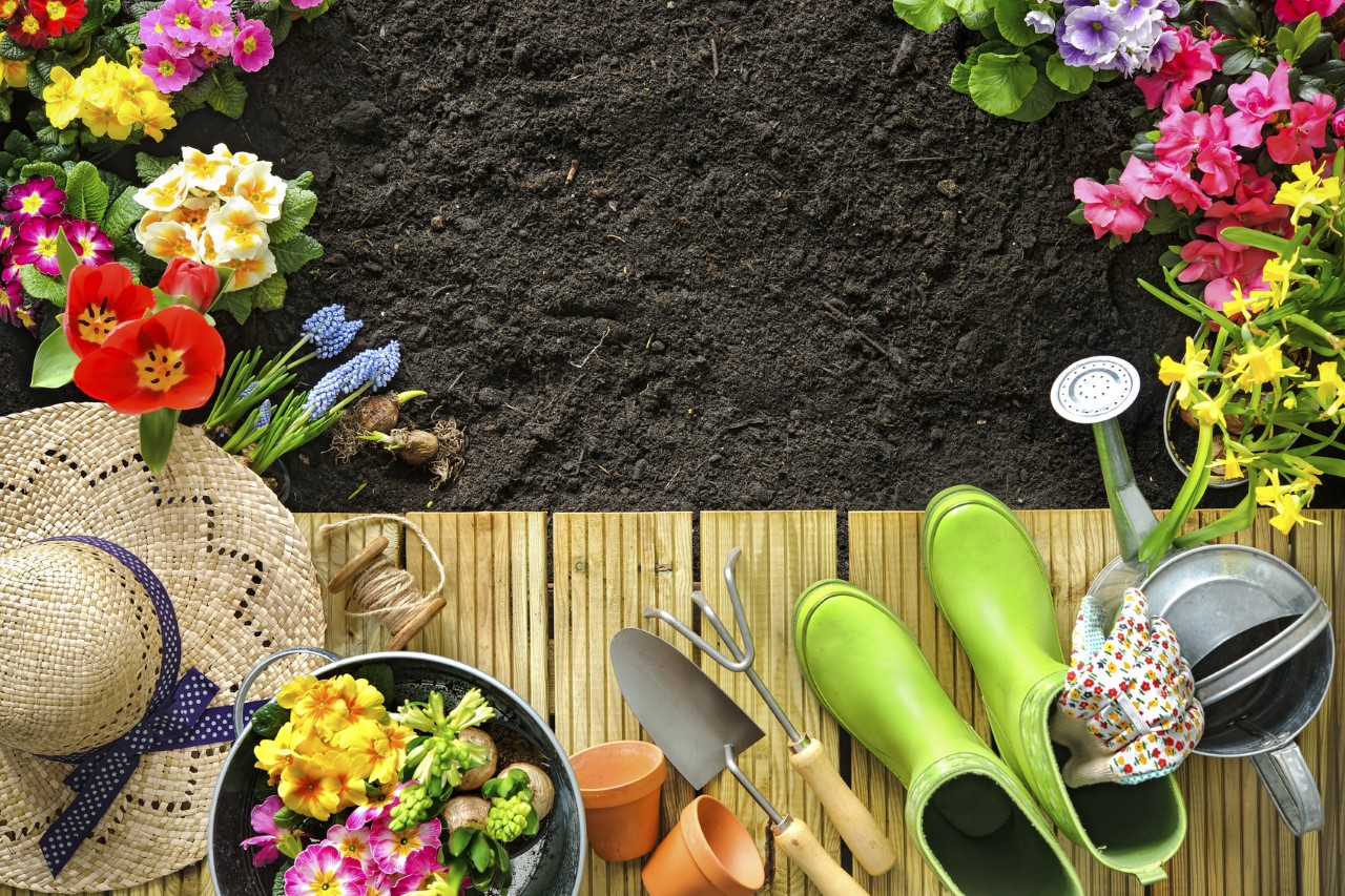 Gardening Tips For Beginners