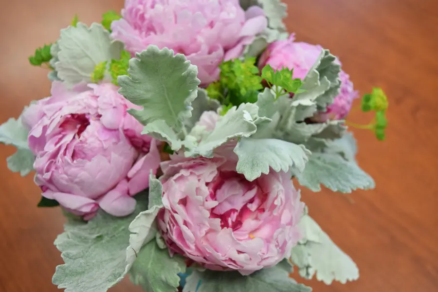 fuzzy flowers with peonies and dusty miller