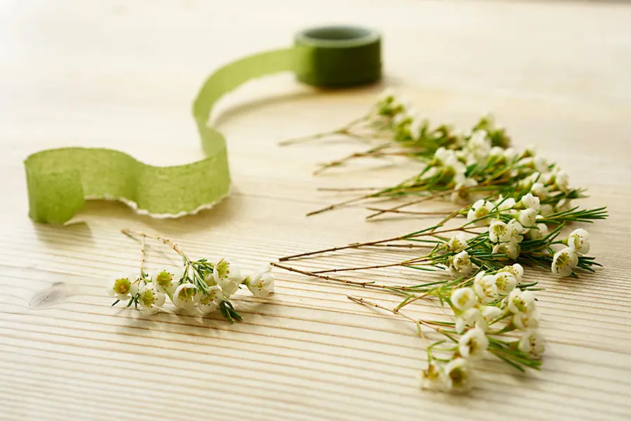 flower-clusters