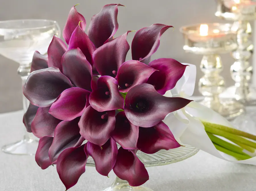 purple wedding flowers with purple calla lilies bouquet
