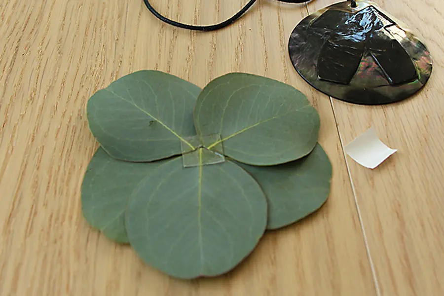 square-strip-on-leaves