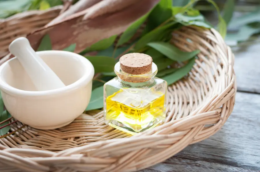 aromatherapy oils with eucalyptus