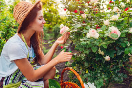 gardening quotes woman pruning roses