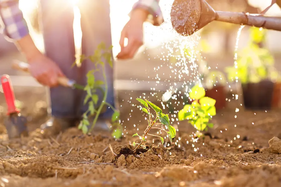 Our Favorite Gardening Quotes