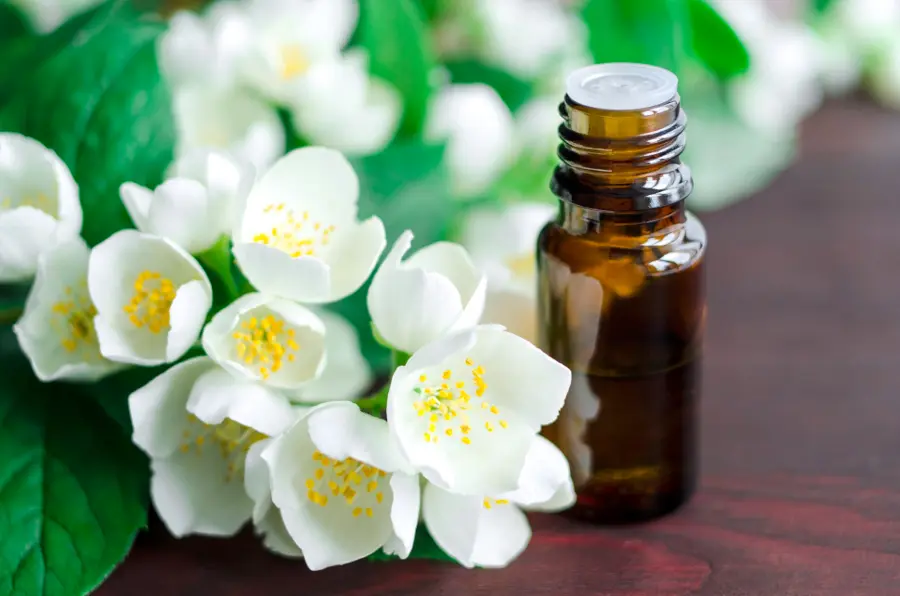 aromatherapy oils with jasmine