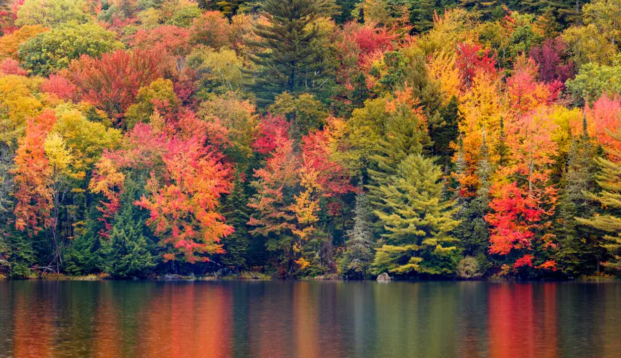 Autumn Foliage Reflecting in a New England Pond Vermont