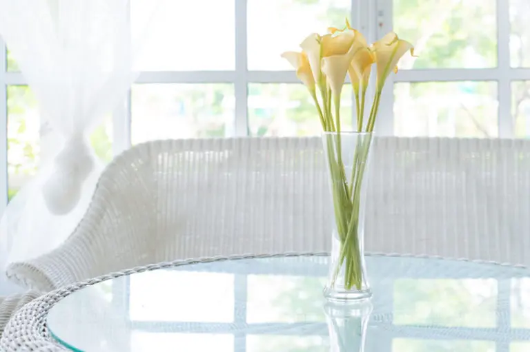 3 Simple Ways to Clean Your Glass Flower Vase