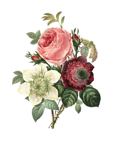 The Meaning of Victorian Flower Messages