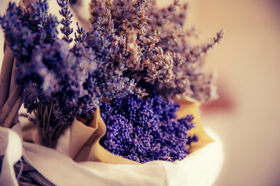 Culinary Lavender  Australian Grown Lavender Flowers