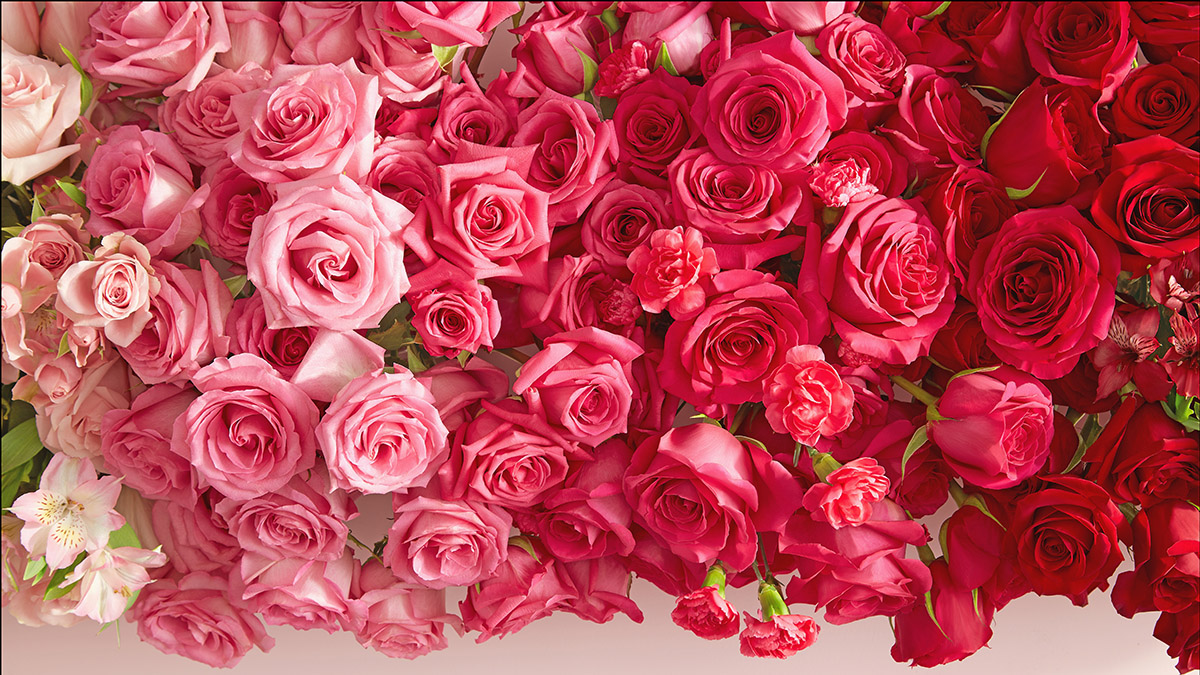 The Meaning of Victorian Flower Messages Petal Talk