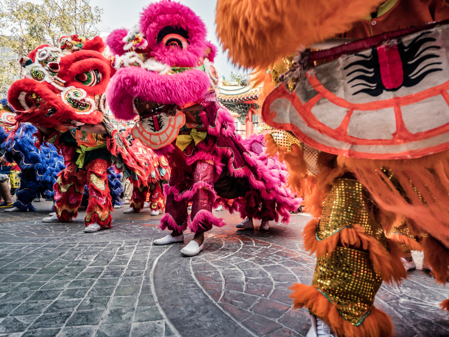 Chinese New Year Dragons