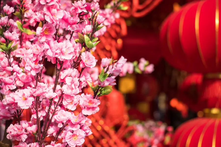 Chinese New Year Flowers- Pink Cherry Blossom Flowers