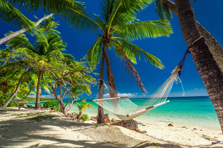 fiji beach with hammock and palm trees