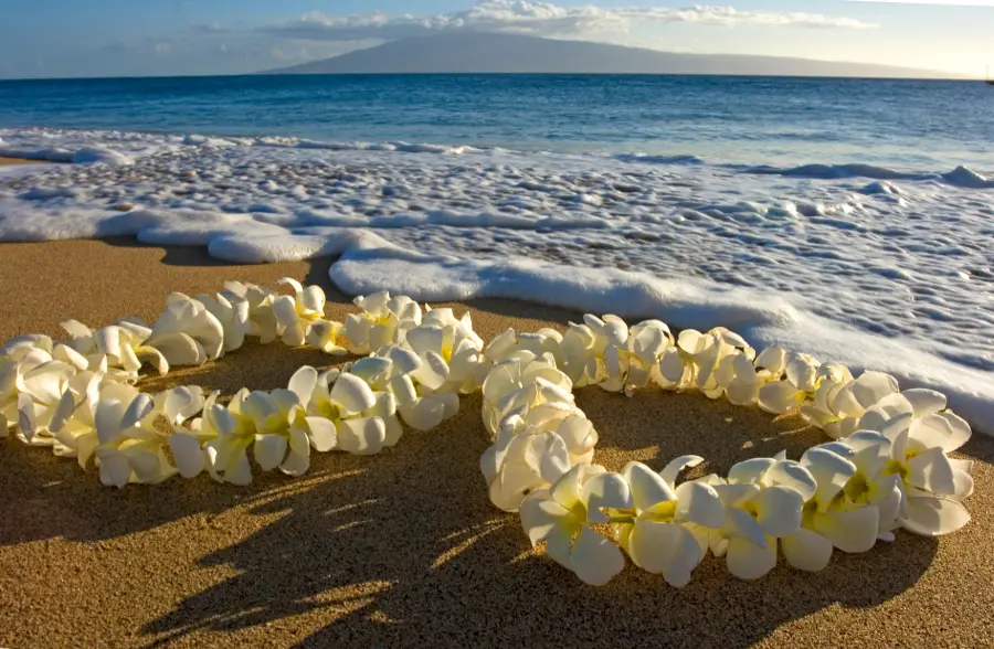 hawaiian leis on a beach