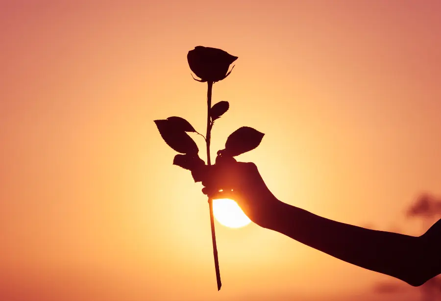 Roses in Pop Culture Movies and Stories