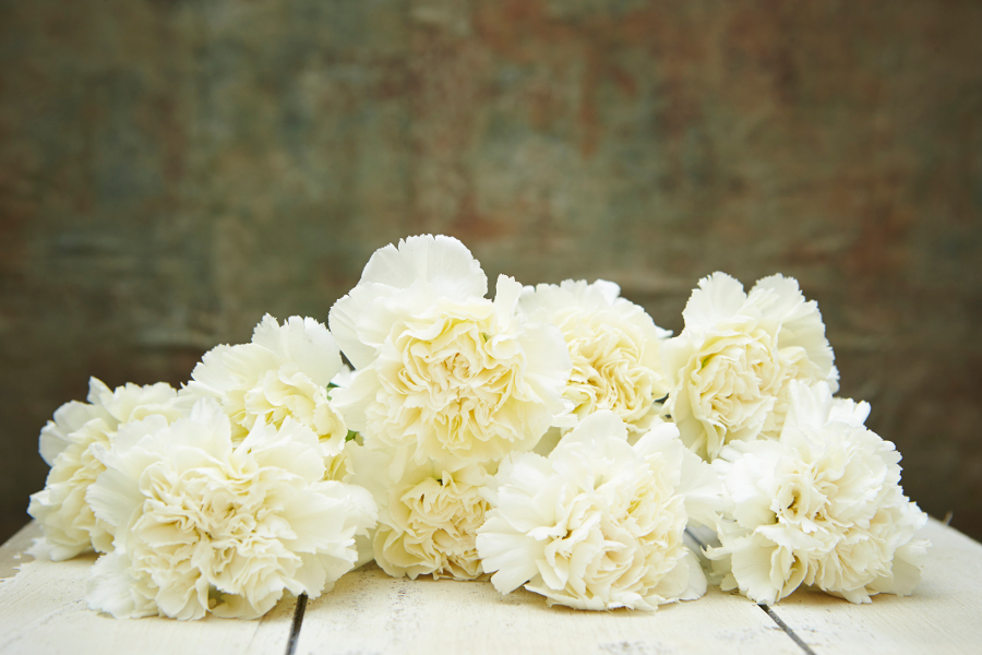 A photo of official mothers day flower with several white carnations lying on a table.