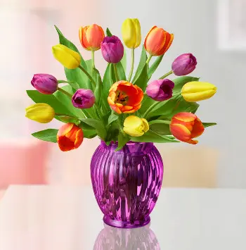 Assorted Tulip arrangement