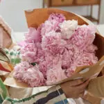 Mother's Day flower types hero